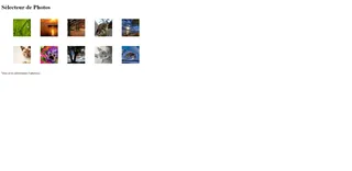 miniature select image web page